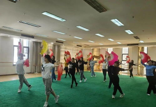 西青區文化文藝志愿服務在行動 專業咨詢暖人心，藝術惠民譜新篇